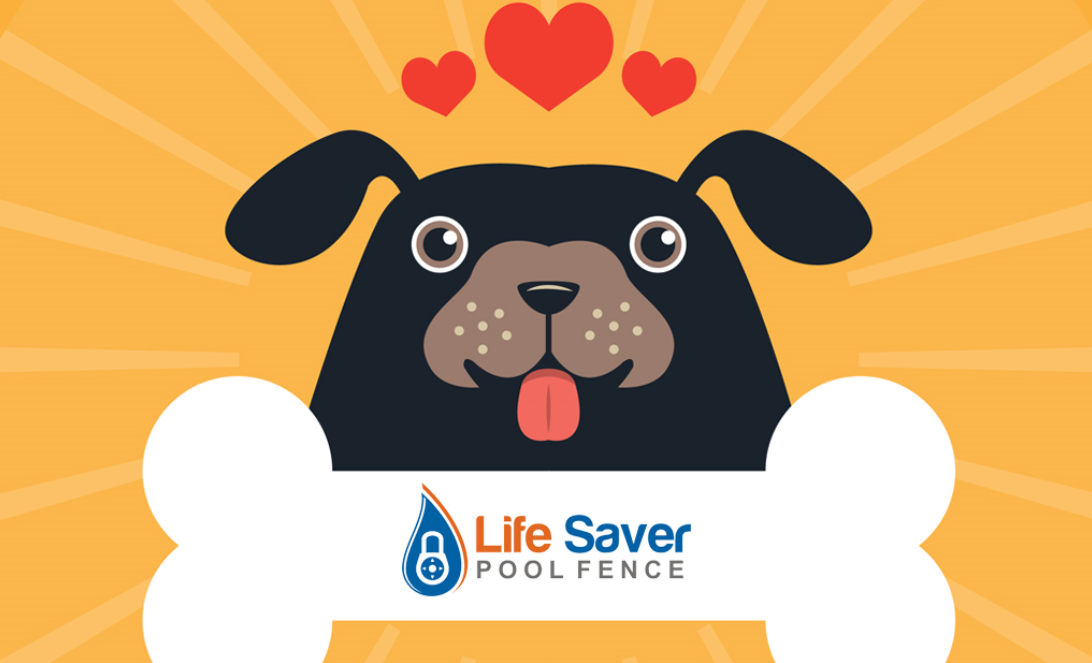 dog water safety tips with pool fence